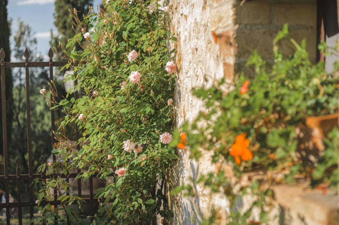 Agriturismo Cretaiole Villa Pienza Exterior foto