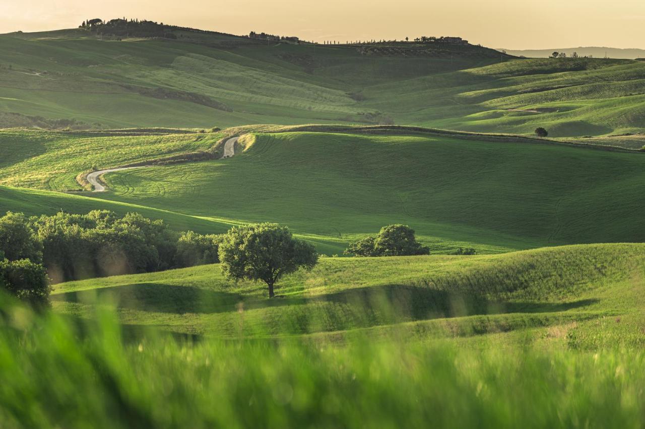 Agriturismo Cretaiole Villa Pienza Exterior foto