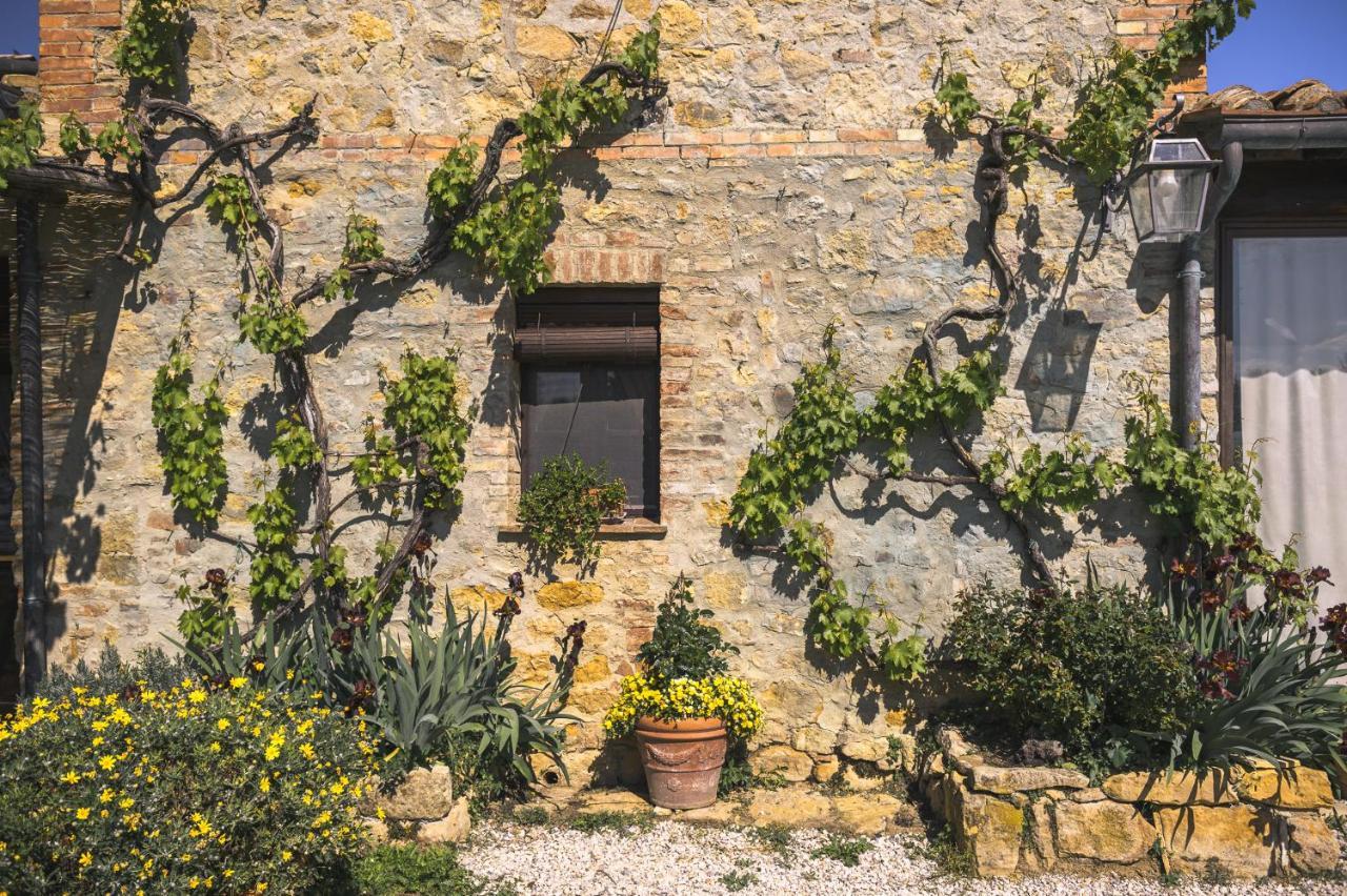 Agriturismo Cretaiole Villa Pienza Exterior foto