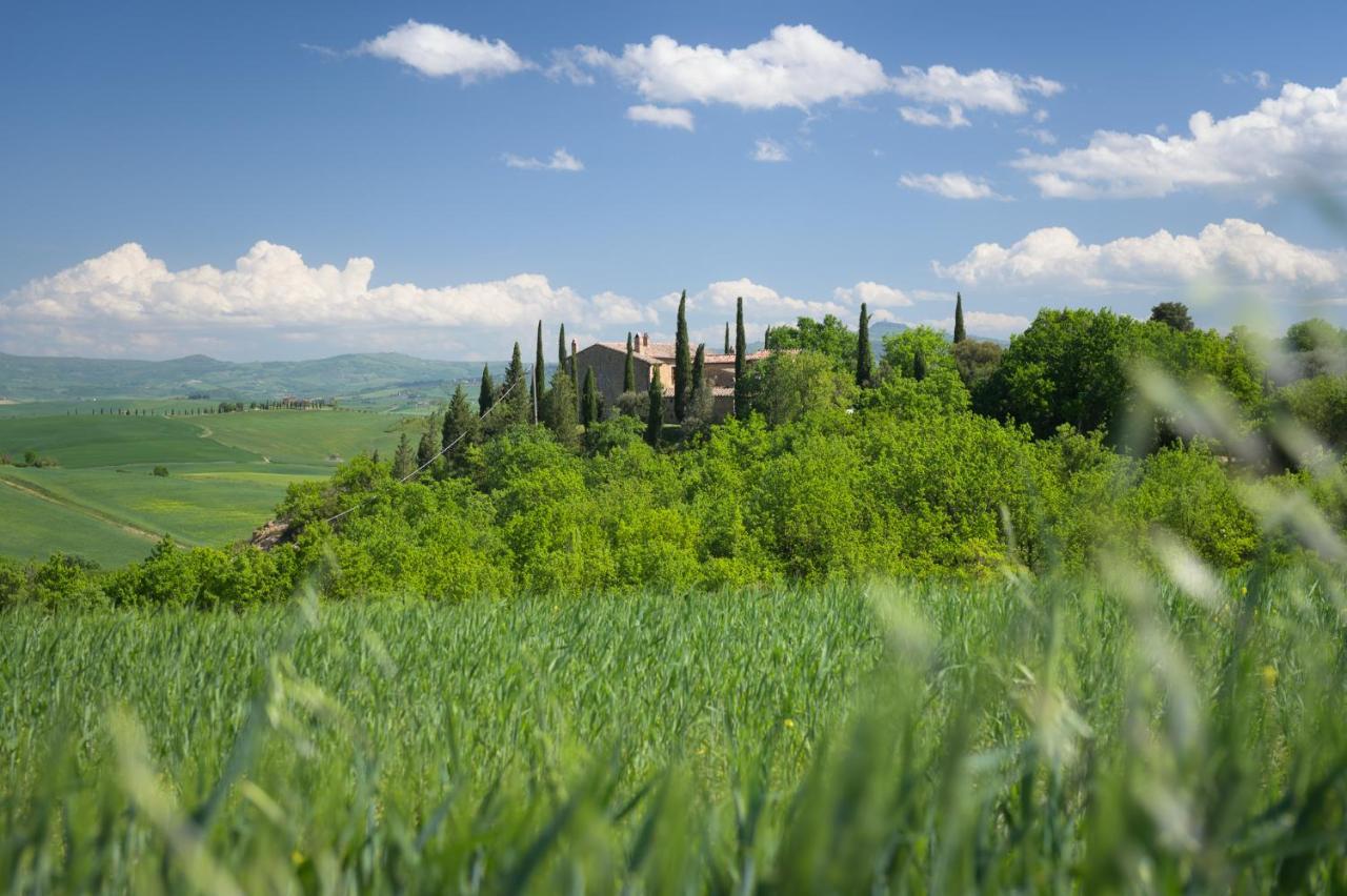 Agriturismo Cretaiole Villa Pienza Exterior foto